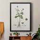 Buttercup Study - Modern Framed Canvas Print