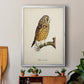 French Owls II - Modern Framed Canvas Print