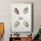Pastel Knorr Shells III - Modern Framed Canvas Print