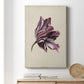 Antique Tulip Study III Premium Gallery Wrapped Canvas - Ready to Hang