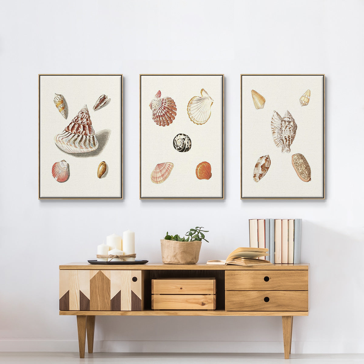 Pastel Knorr Shells IV - Framed Premium Gallery Wrapped Canvas L Frame 3 Piece Set - Ready to Hang