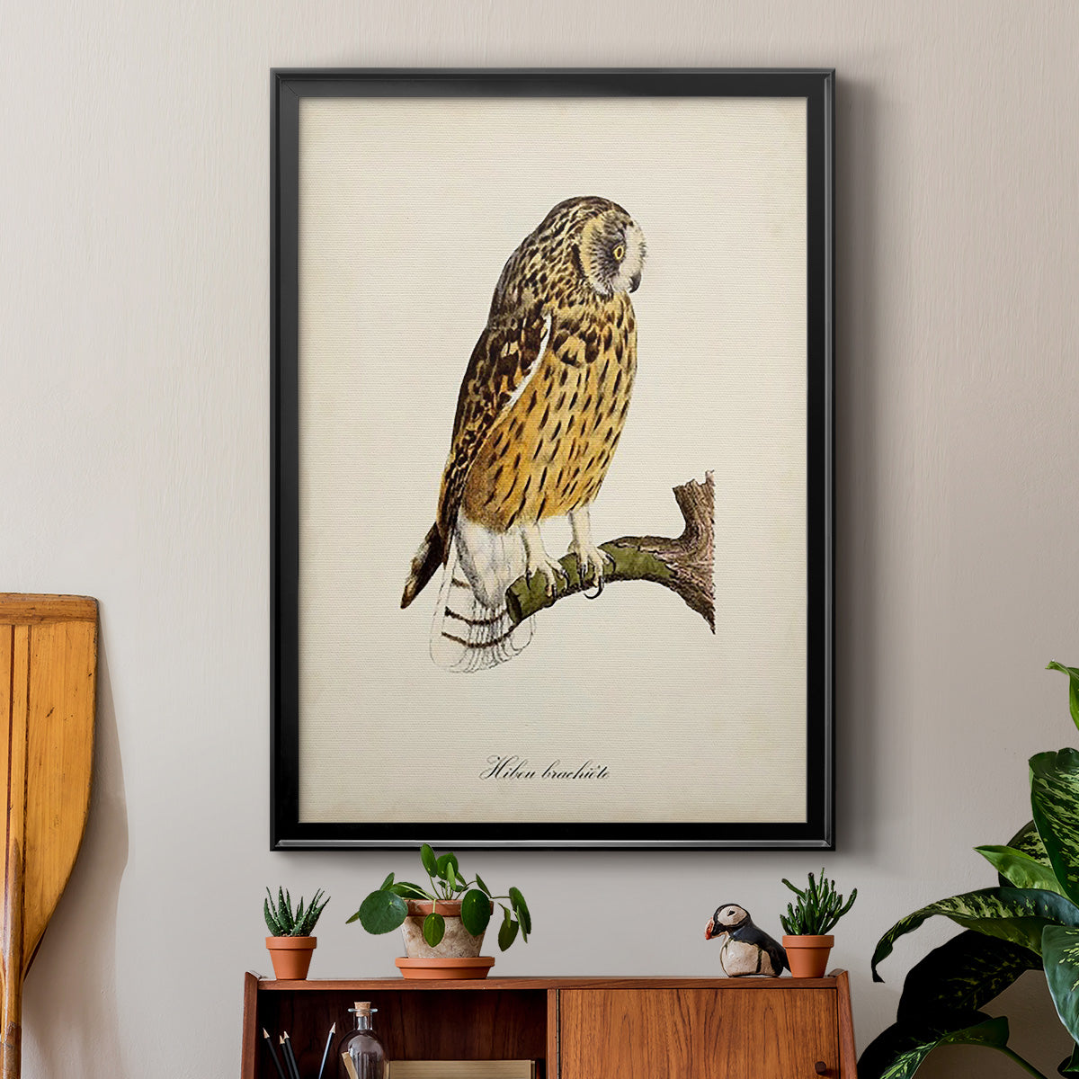 French Owls II - Modern Framed Canvas Print