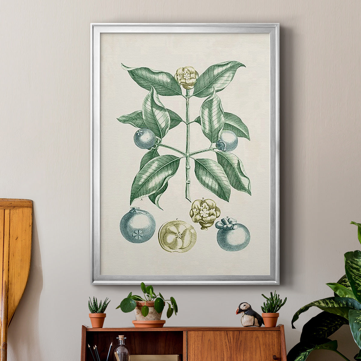 Buchoz Tropicals VII - Modern Framed Canvas Print