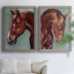 Paint by Number Horse I - Premium Framed Canvas 2 Piece Set - Ready to Hang