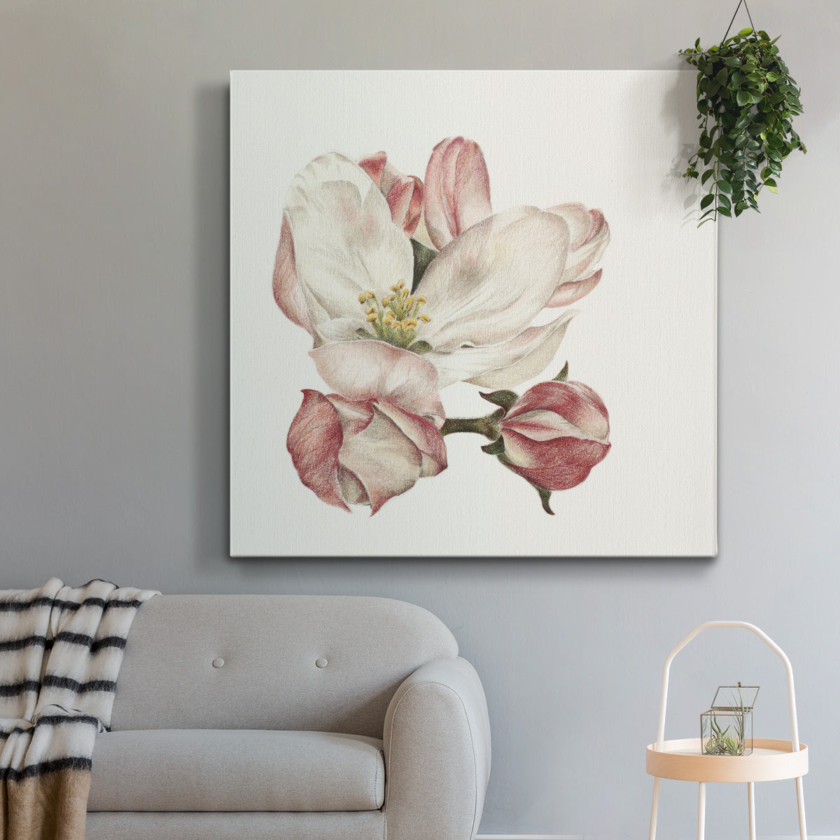 Enlightenment Blossom III - Canvas Art Print