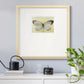 Chrysalis- Premium Framed Print Double Matboard