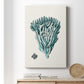 Antique Coastal Coral X - Canvas Art Print