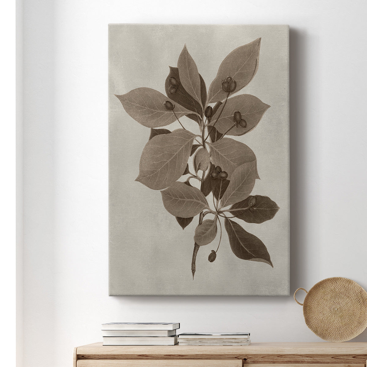 Arbor Specimen I Premium Gallery Wrapped Canvas - Ready to Hang