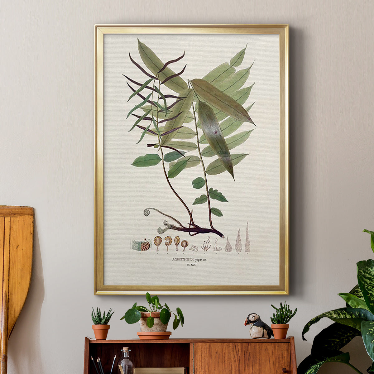 Botanical Society Ferns VI - Modern Framed Canvas Print