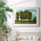 Tall Trees - Barnwood Framed Art Print
