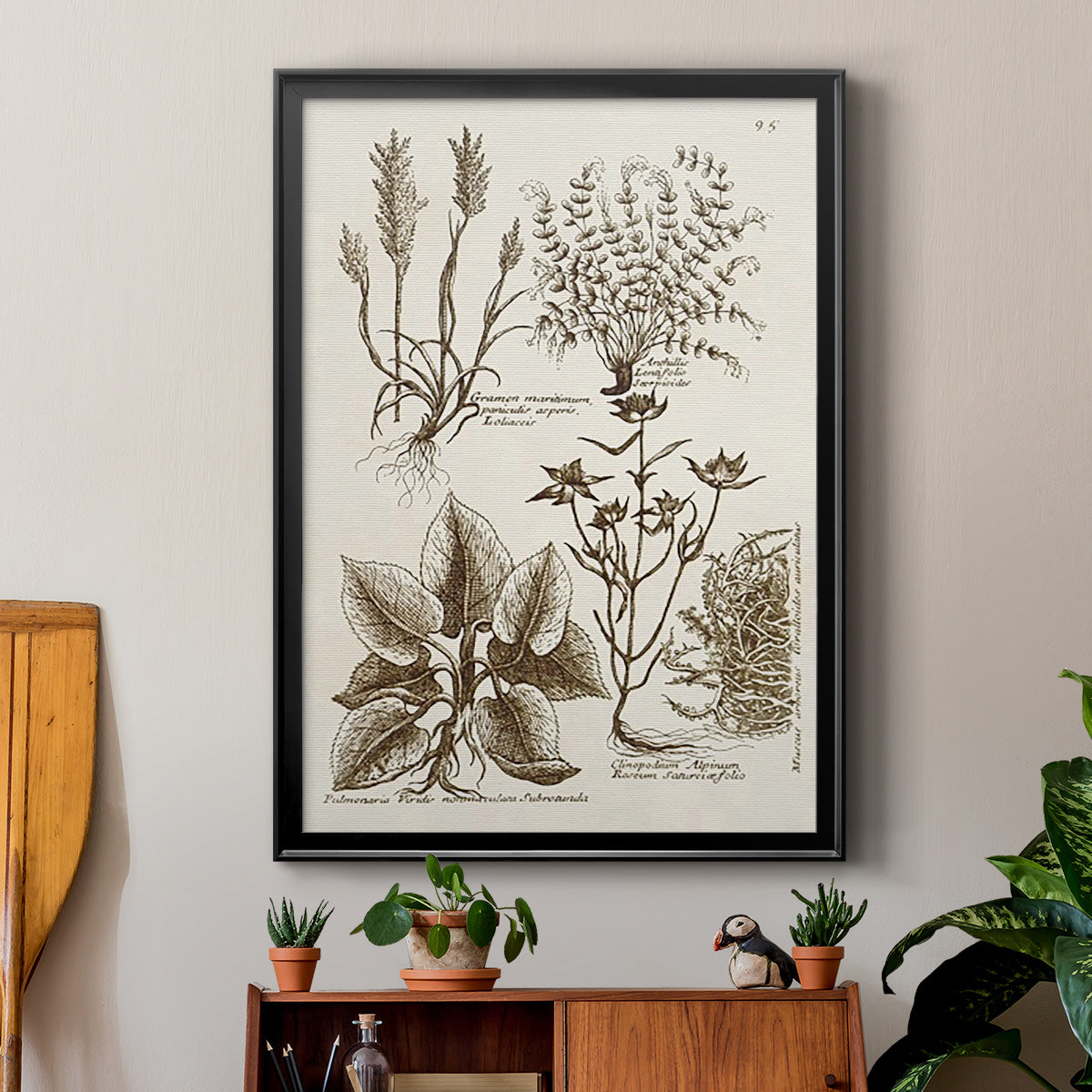 Sepia Botanical Journal VII - Modern Framed Canvas Print