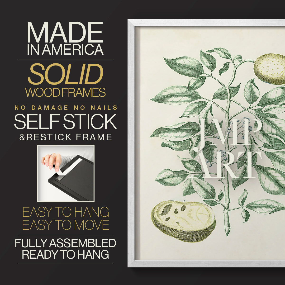 Buchoz Tropicals III - Restickable Framed Art Print