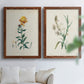 Traditional Botanical III - Premium Framed Canvas 2 Piece Set - Ready to Hang