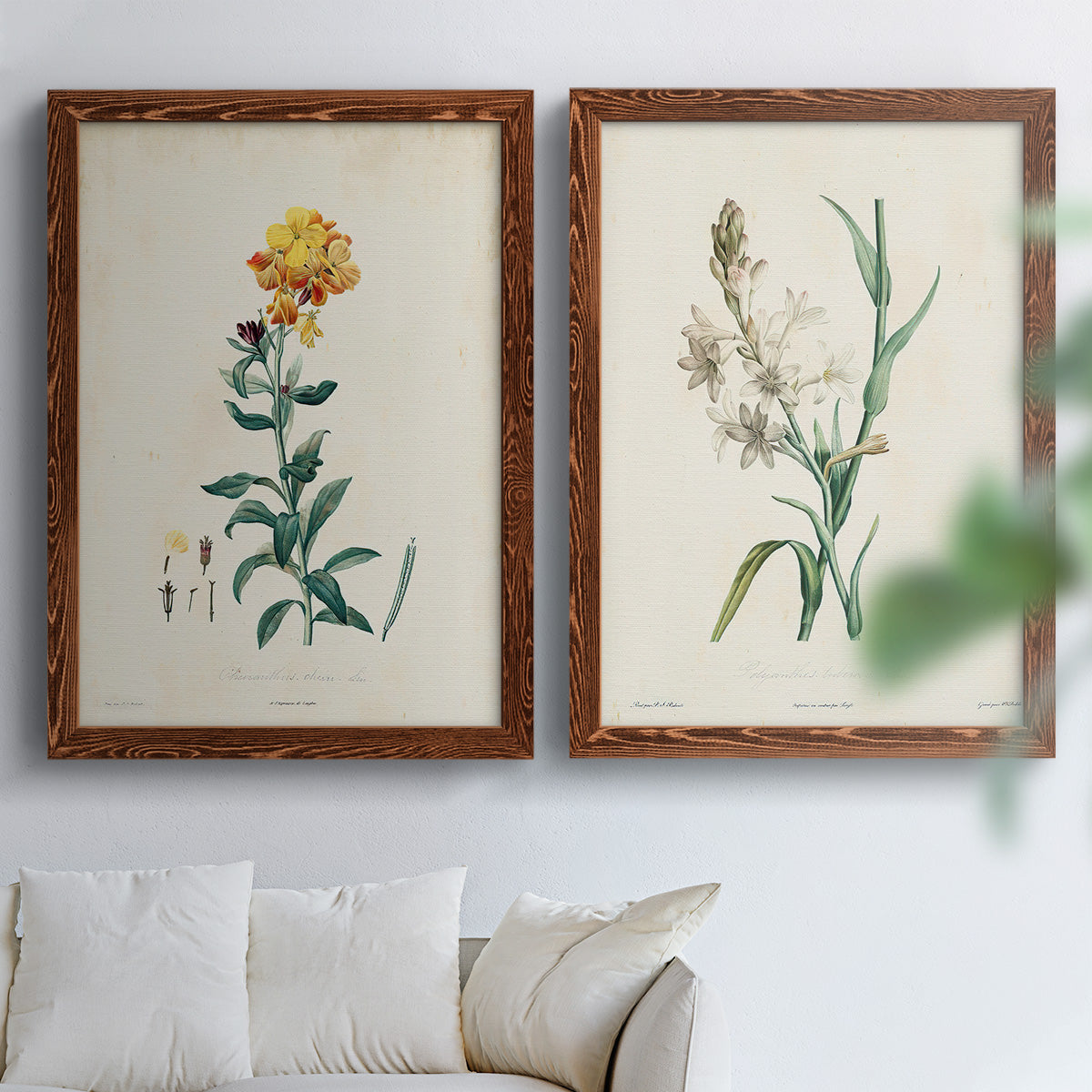 Traditional Botanical III - Premium Framed Canvas 2 Piece Set - Ready to Hang