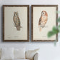 Scops- Eared Owl - Premium Framed Canvas 2 Piece Set - Ready to Hang