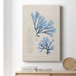Blue Marine Algae V - Canvas Art Print