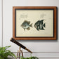 Bloch Antique Fish II Premium Framed Canvas- Ready to Hang