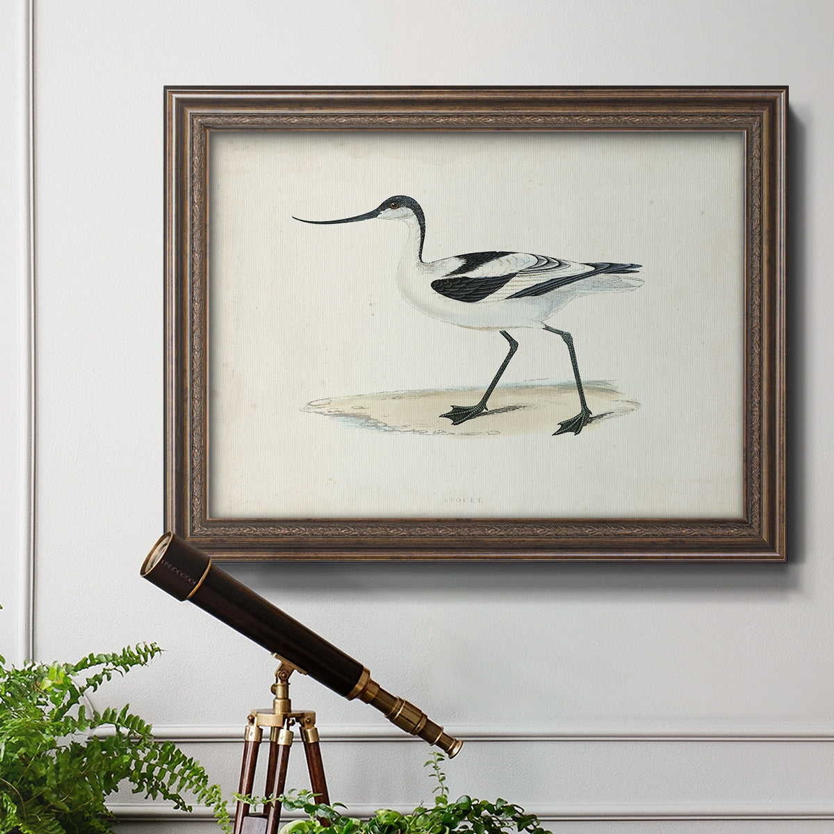 Morris Sandpipers IV Premium Framed Canvas- Ready to Hang