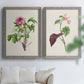 Pretty Pink Botanicals V - Premium Framed Canvas 2 Piece Set - Ready to Hang