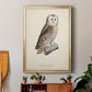 French Owls V - Modern Framed Canvas Print