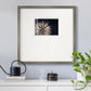 Sky Bloom- Premium Framed Print Double Matboard