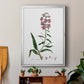 Rose Botanical I - Modern Framed Canvas Print