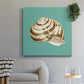 Shell on Aqua I - Canvas Art Print