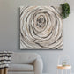 Twisted Branch II - Canvas Art Print