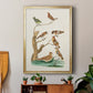 Antique Birds in Nature III - Modern Framed Canvas Print