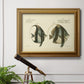 Bloch Antique Fish I Premium Framed Canvas- Ready to Hang