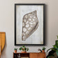 Ocean Cone I - Modern Framed Canvas Print