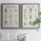 Herbs and Flowers - Premium Framed Canvas 2 Piece Set - Ready to Hang