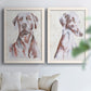 Sitting Dog I - Premium Framed Canvas 2 Piece Set - Ready to Hang