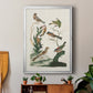 Antique Birds in Nature I - Modern Framed Canvas Print