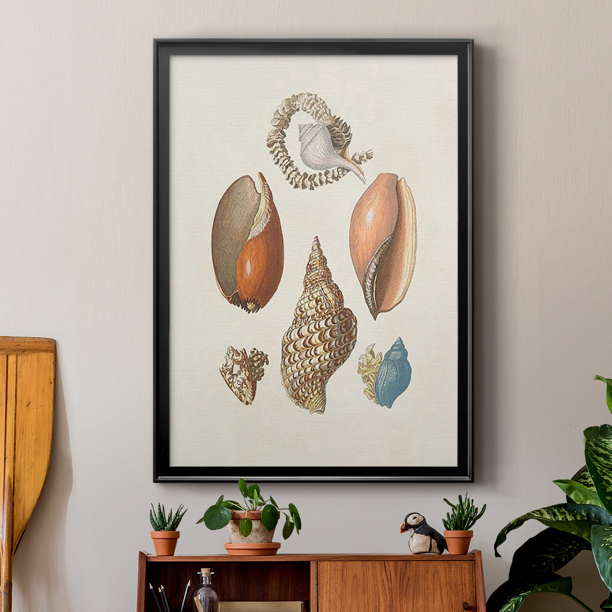Knorr Shells & Coral I - Modern Framed Canvas Print