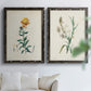 Traditional Botanical III - Premium Framed Canvas 2 Piece Set - Ready to Hang