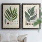 Set of two black barnwood framed canvas prints depicting varied green fronds, roots, spores, and archival labels arranged across two complementary compositions above a sofa in a bright living space.