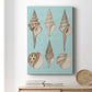 Sepia & Aqua Shells II - Canvas Art Print