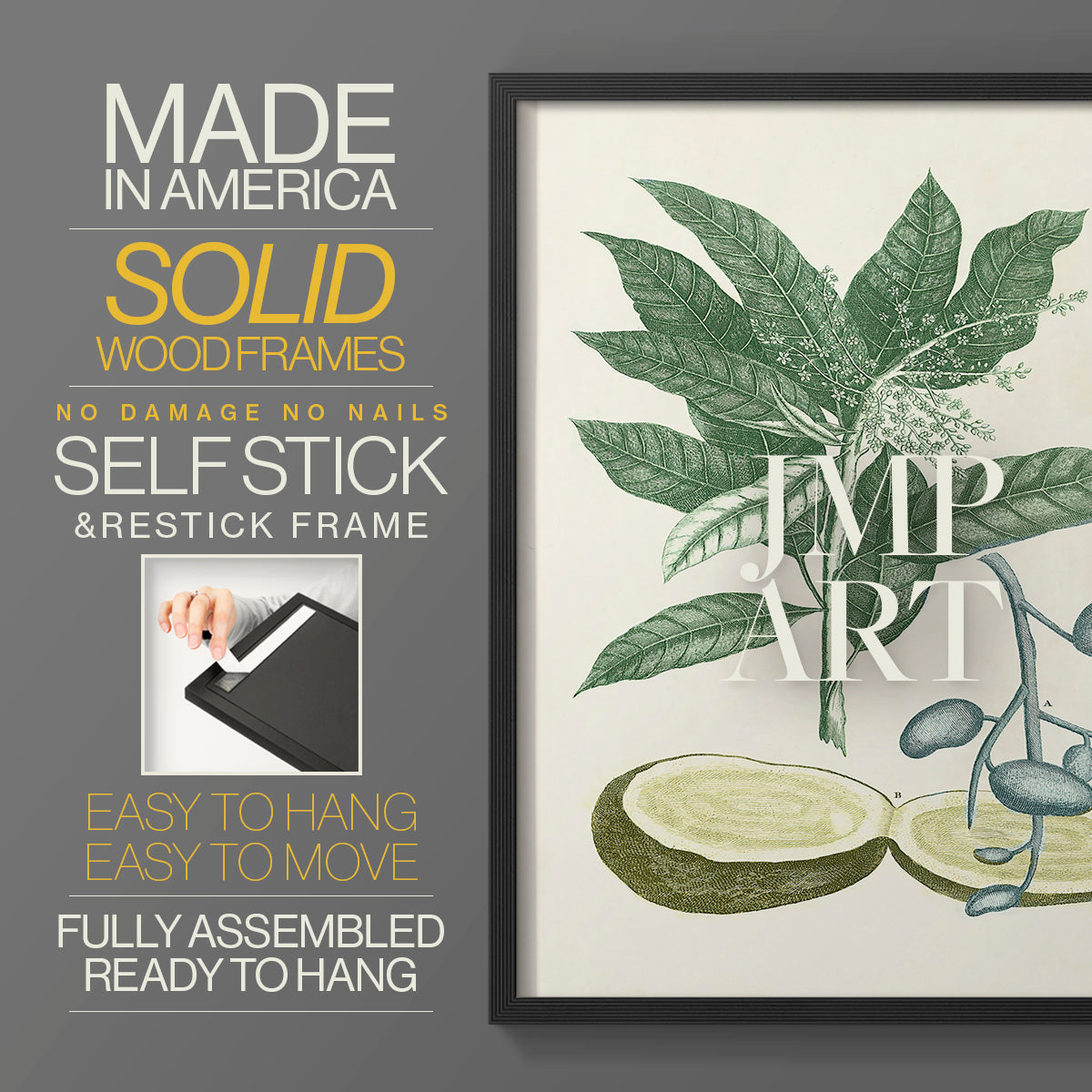 Buchoz Tropicals IV - Restickable Framed Art Print