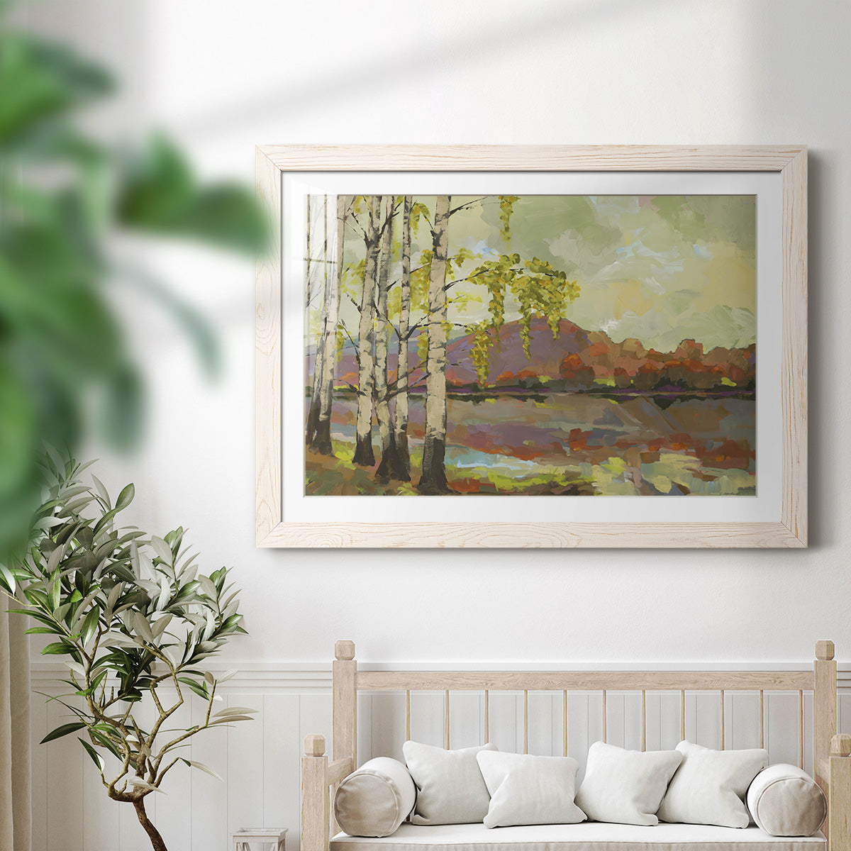 Birch Stand - Barnwood Framed Art Print