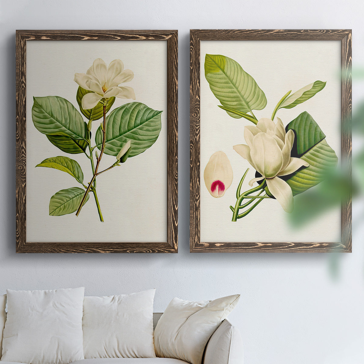 Set of two walnut barnwood framed canvas prints depicting large pale petals, leafy branches, and soft watercolor shading arranged across two complementary compositions above a sofa in a bright living space.