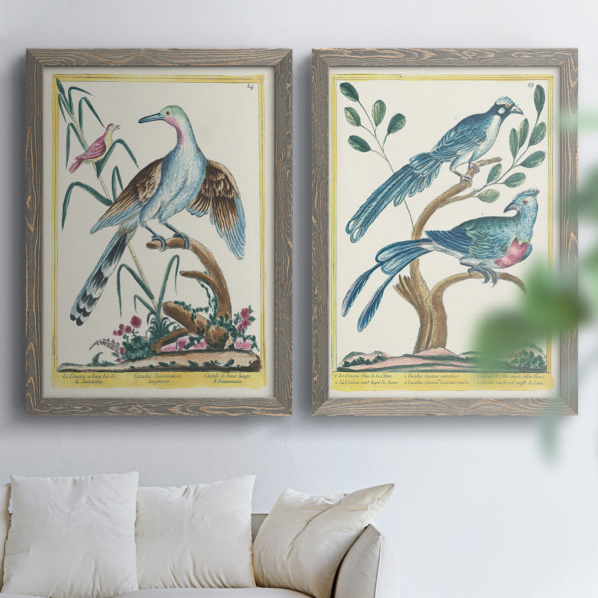 Pastel Birds V - Premium Framed Canvas 2 Piece Set - Ready to Hang