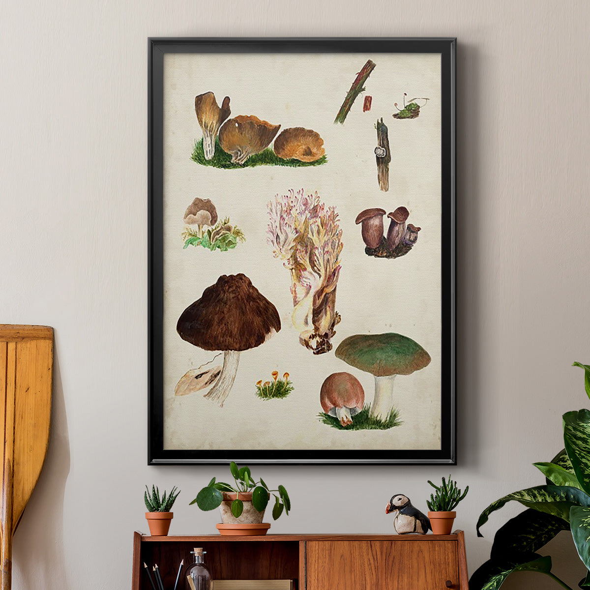 Mushroom Species IX - Modern Framed Canvas Print