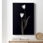 Tulip Pose II - Canvas Art Print