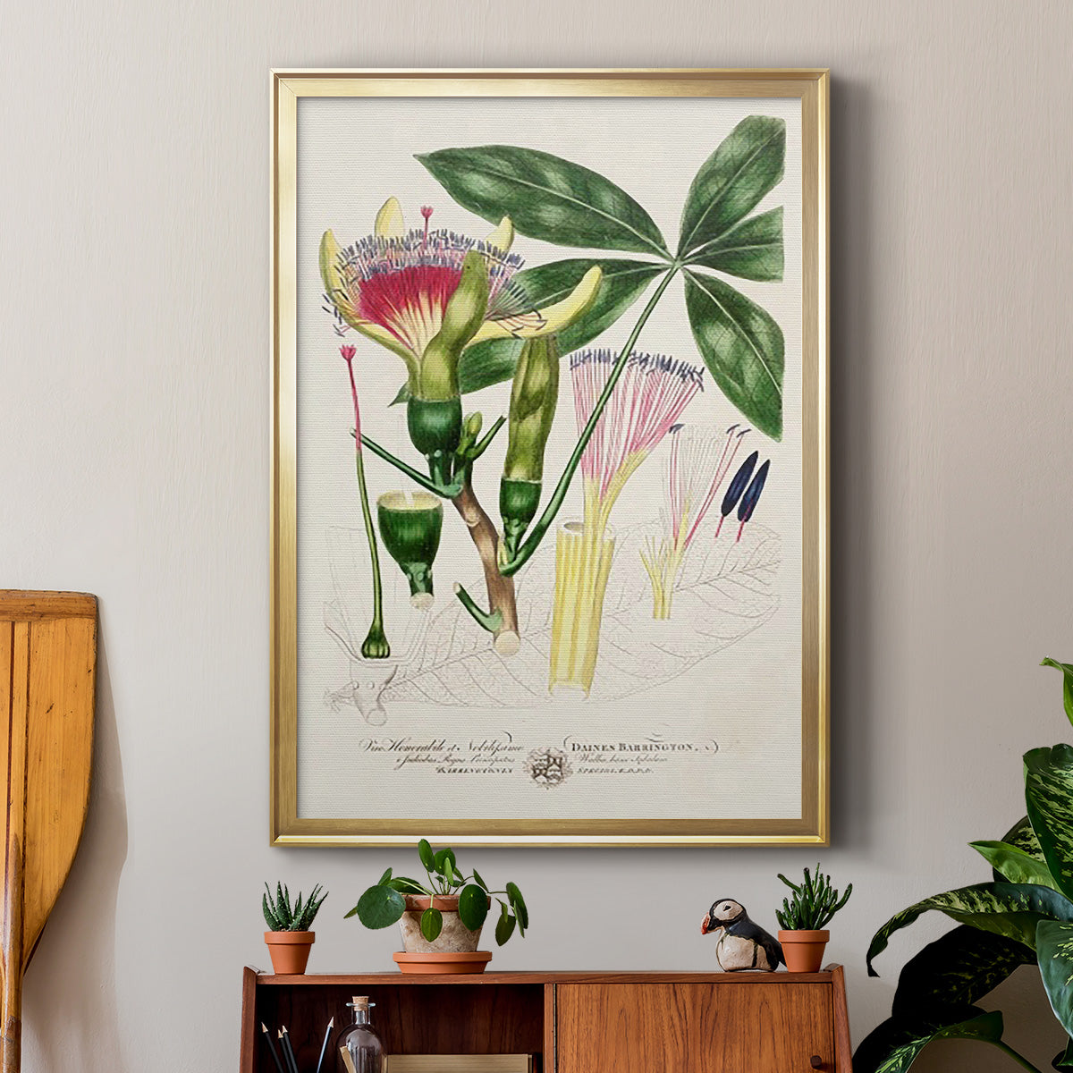 Imperial Tropical Botanical II - Modern Framed Canvas Print