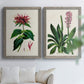 Set of two gray barnwood framed canvas prints depicting detailed blossoms, leaves, roots, and archival cream grounds arranged across two complementary compositions above a sofa in a bright living space.