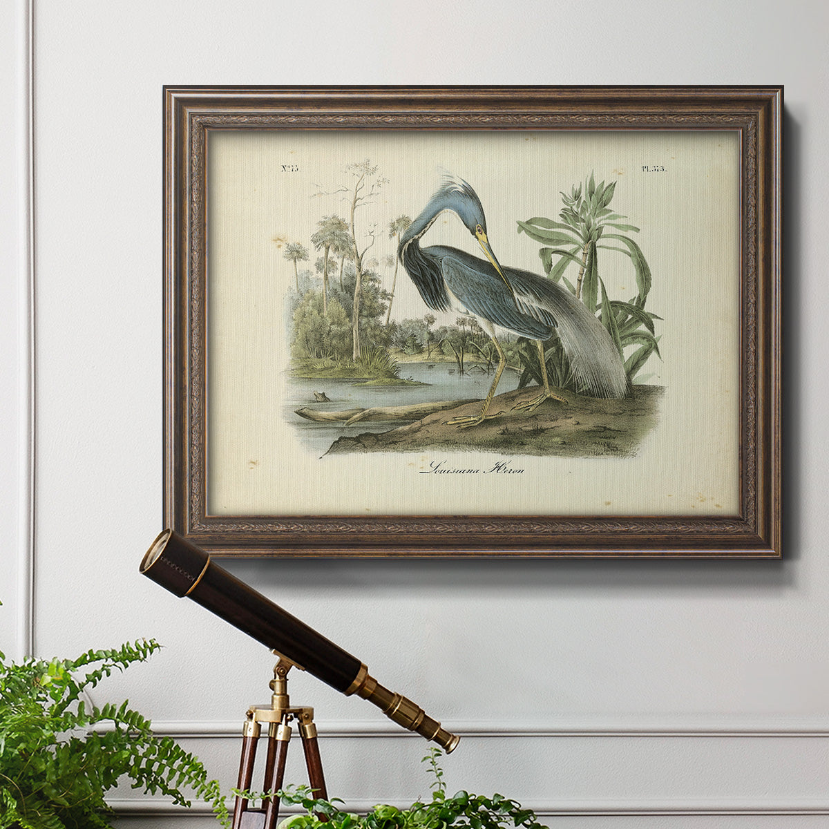 Audubons Louisiana Heron Premium Framed Canvas- Ready to Hang