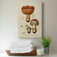 Mushroom Varieties I Premium Gallery Wrapped Canvas - Ready to Hang