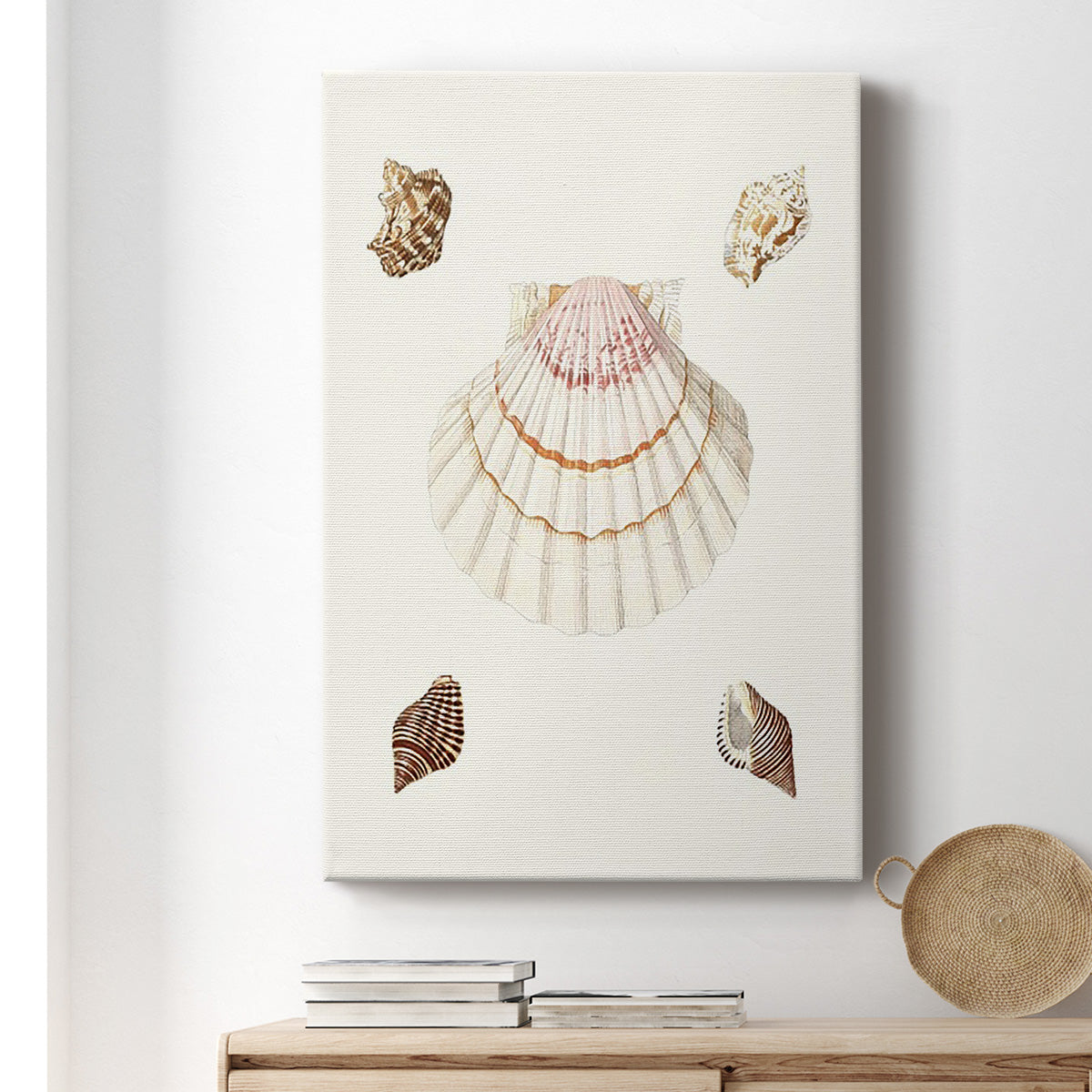 Pastel Knorr Shells IV - Canvas Art Print