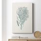 Antique Coastal Coral I - Canvas Art Print